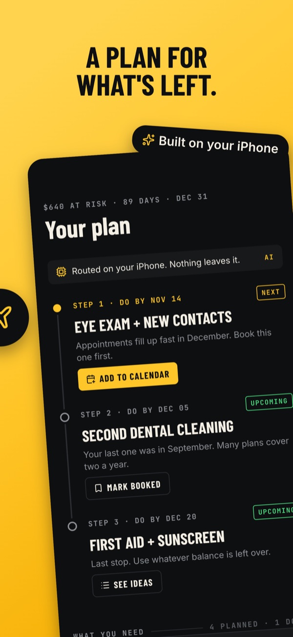 A dated FSA spending plan: eye exam and new contacts by November 14, a second dental cleaning by December 5, first aid and sunscreen by December 20.